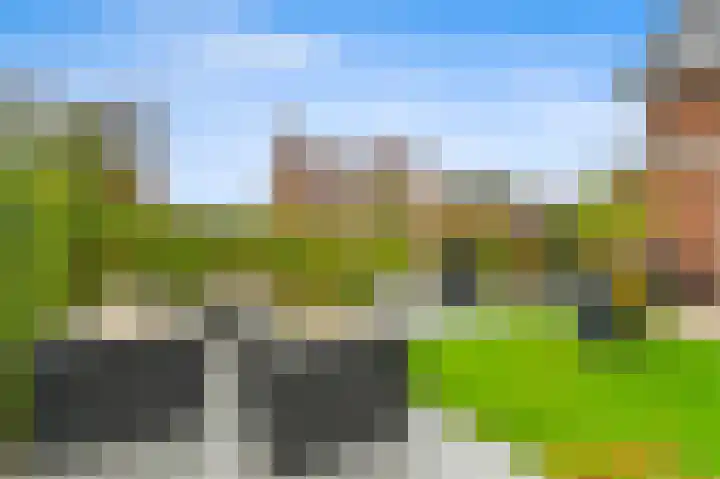 Oude Hoge Dijk 31 Wateringen thumbnail 13