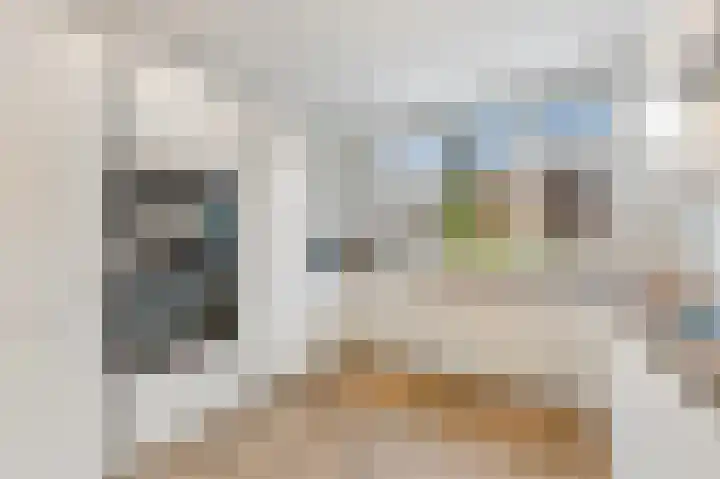 Oude Hoge Dijk 31 Wateringen thumbnail 18