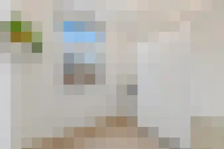Oude Hoge Dijk 31 Wateringen thumbnail 22