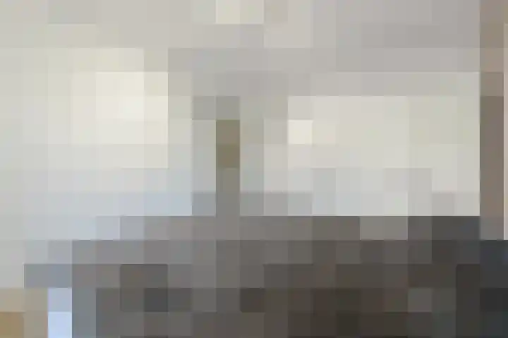 Oude Hoge Dijk 31 Wateringen thumbnail 24