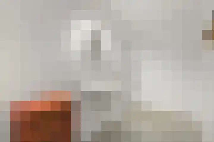 Oude Hoge Dijk 31 Wateringen thumbnail 38
