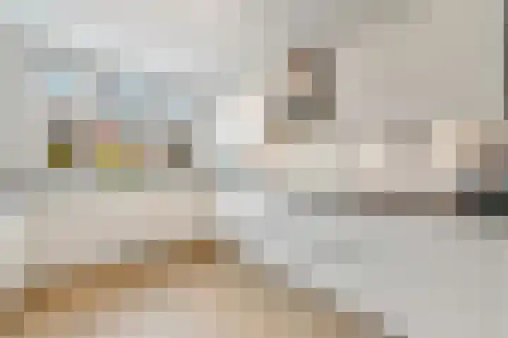Oude Hoge Dijk 31 Wateringen thumbnail 4