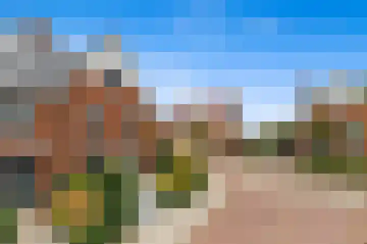 Oude Hoge Dijk 31 Wateringen thumbnail 43