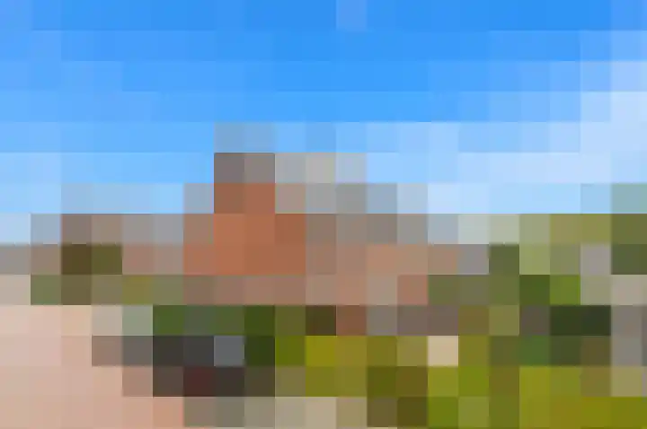 Oude Hoge Dijk 31 Wateringen thumbnail 45