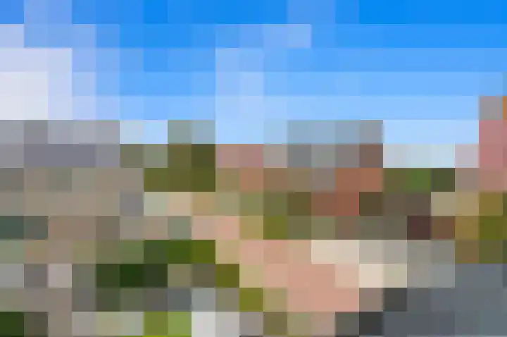 Oude Hoge Dijk 31 Wateringen thumbnail 46