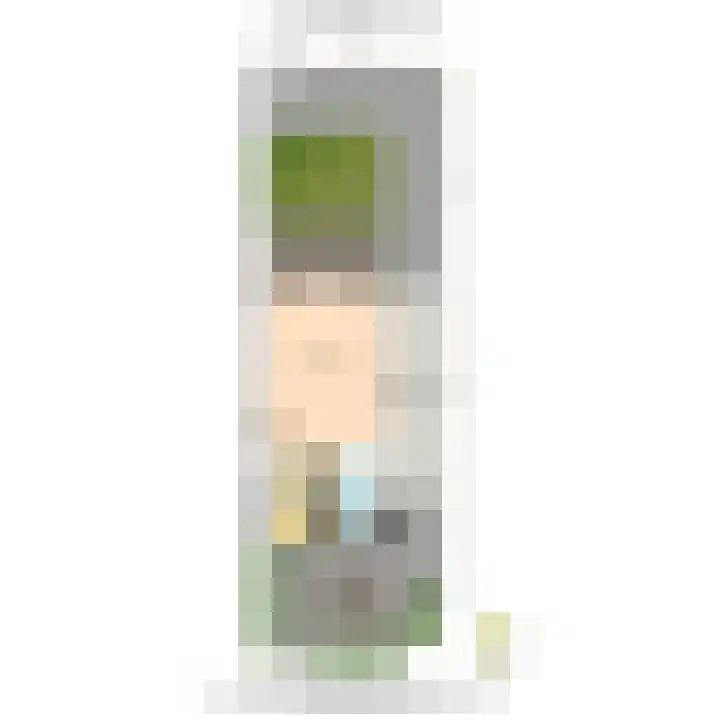 Oude Hoge Dijk 31 Wateringen thumbnail 51