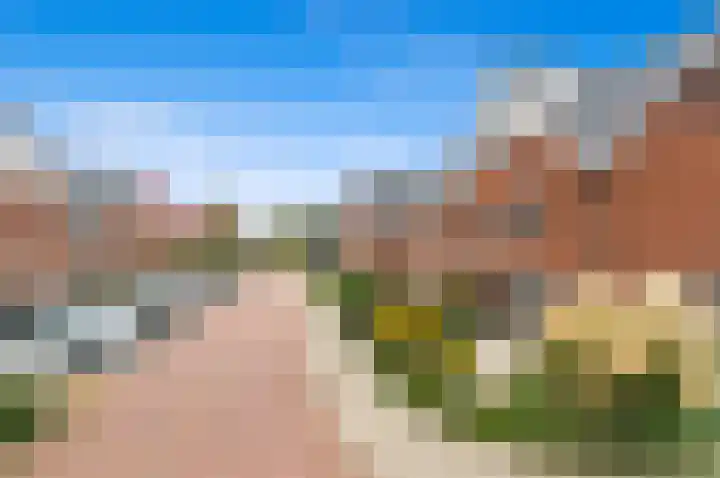 Oude Hoge Dijk 31 Wateringen thumbnail 6