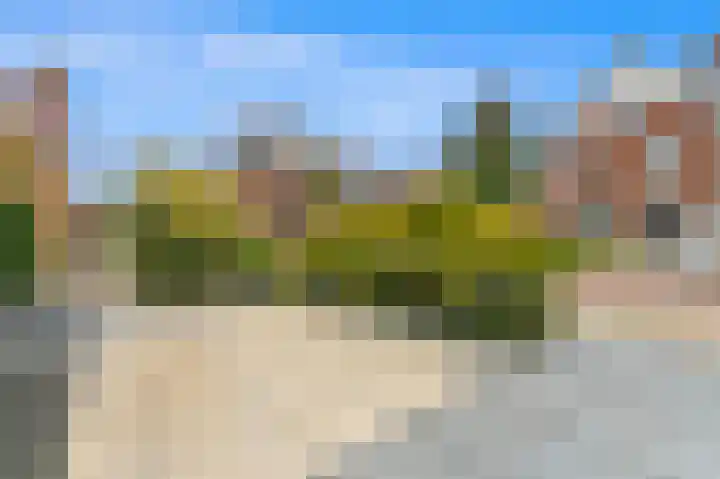 Oude Hoge Dijk 31 Wateringen thumbnail 8