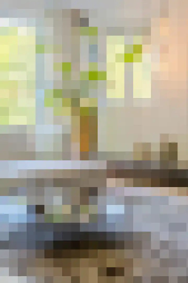 Oude Holleweg 1 Beek thumbnail 22
