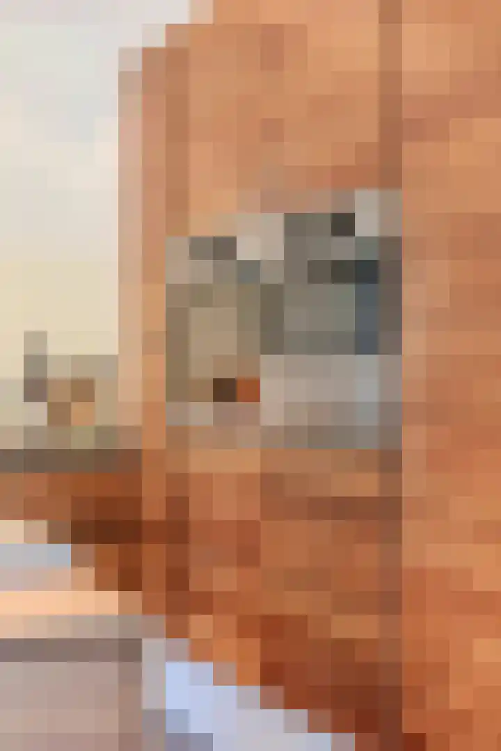 Oude Holleweg 1 Beek thumbnail 24