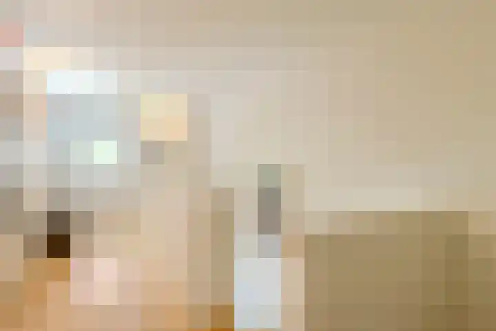 Oude Holleweg 1 Beek thumbnail 33