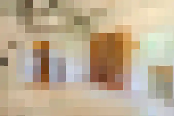 Oude Holleweg 1 Beek thumbnail 36