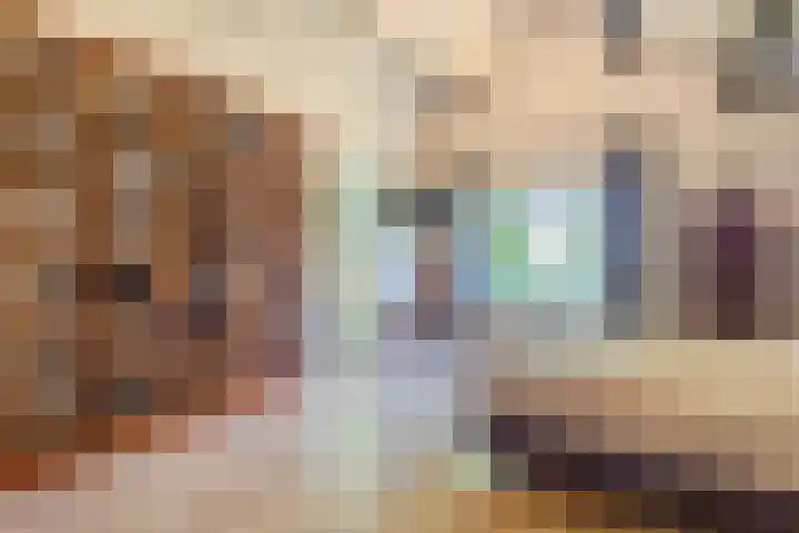 Oude Holleweg 1 Beek thumbnail 38