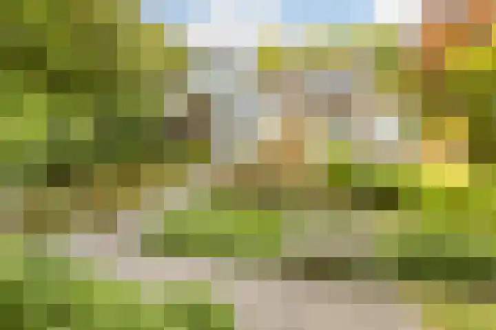 Oude Holleweg 1 Beek thumbnail 4