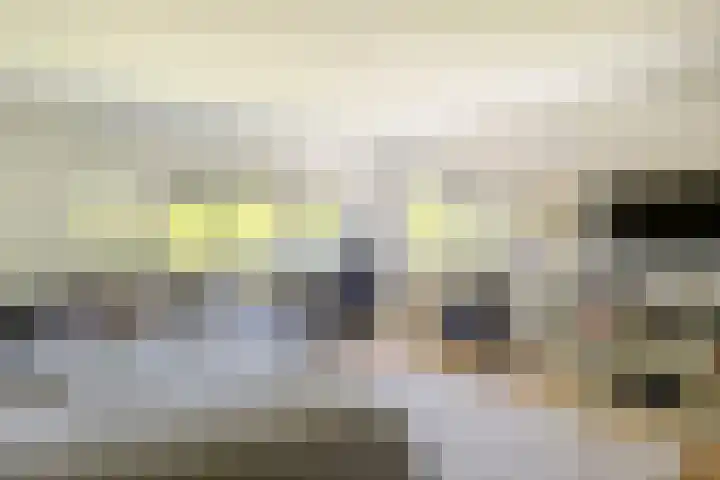 Oude Holleweg 1 Beek thumbnail 48