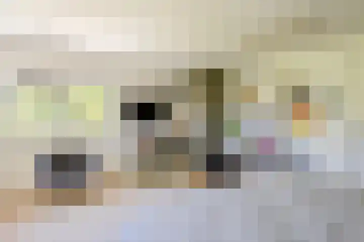 Oude Holleweg 1 Beek thumbnail 51
