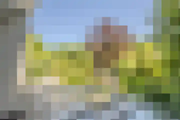 Oude Holleweg 1 Beek thumbnail 55