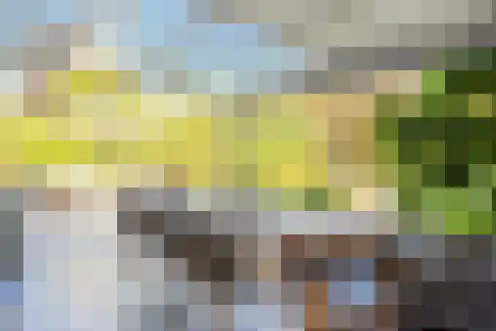 Oude Holleweg 1 Beek thumbnail 56
