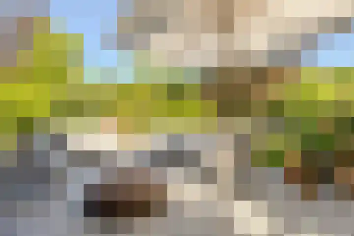 Oude Holleweg 1 Beek thumbnail 60