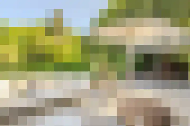 Oude Holleweg 1 Beek thumbnail 61