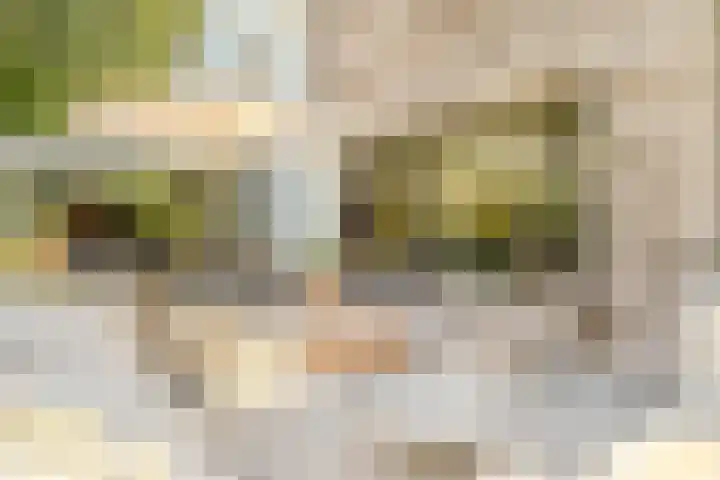 Oude Holleweg 1 Beek thumbnail 62