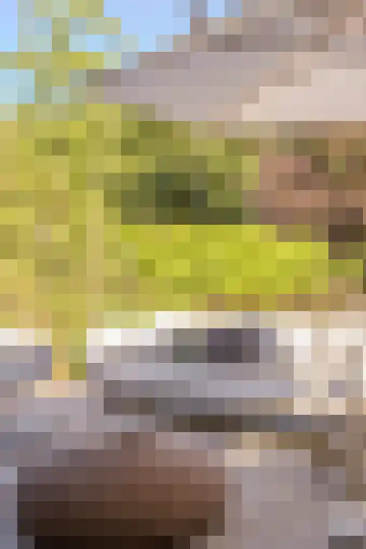 Oude Holleweg 1 Beek thumbnail 63