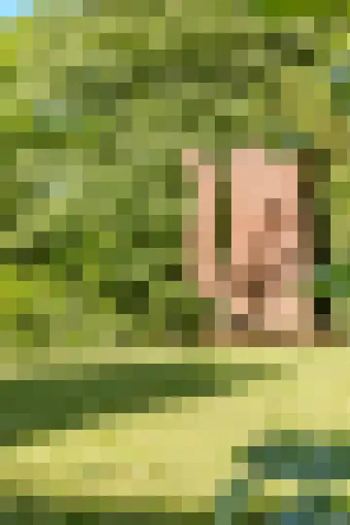Oude Holleweg 1 Beek thumbnail 64