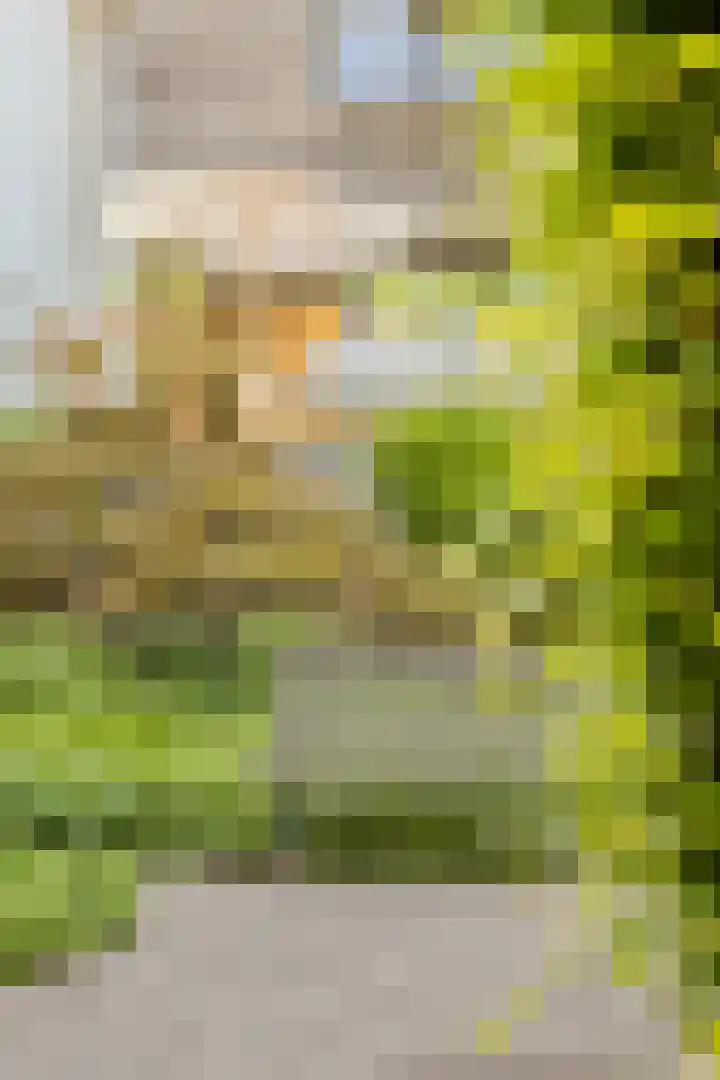 Oude Holleweg 1 Beek thumbnail 66