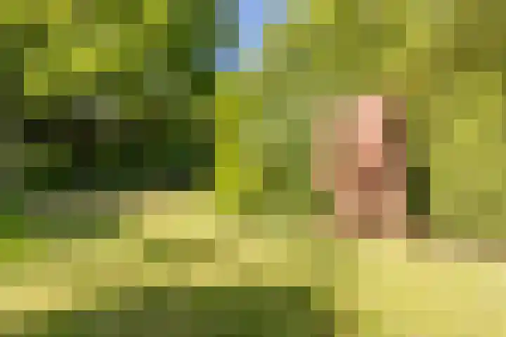 Oude Holleweg 1 Beek thumbnail 67