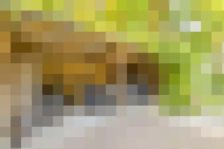 Oude Holleweg 1 Beek thumbnail 75