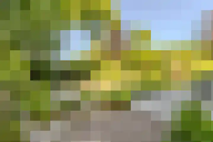 Oude Holleweg 1 Beek thumbnail 76