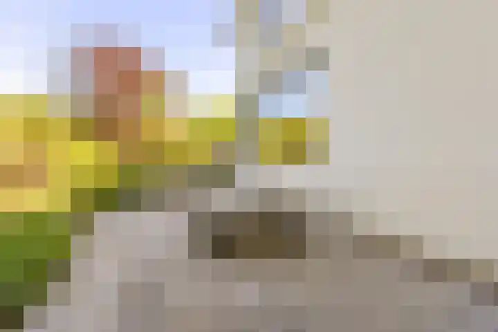 Oude Holleweg 1 Beek thumbnail 77