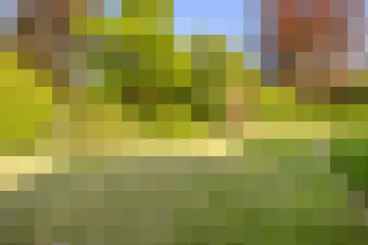 Oude Holleweg 1 Beek thumbnail 79
