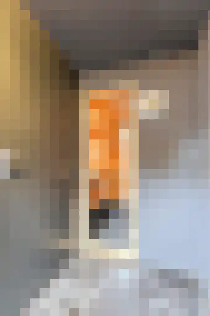 Oude Holleweg 1 Beek thumbnail 80