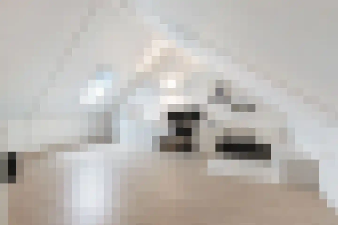 Oude Holleweg 11 Renswoude thumbnail 22