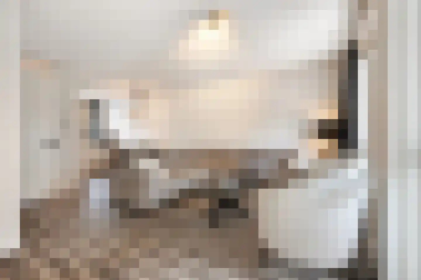 Oude Holleweg 11 Renswoude thumbnail 5