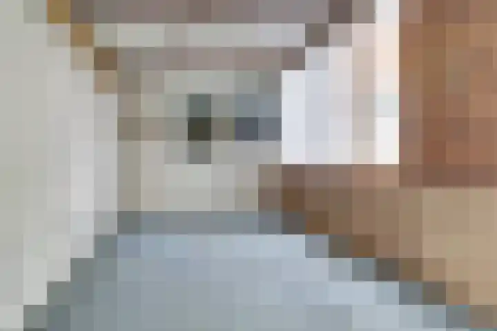 Oude Holleweg 14 Renswoude thumbnail 13