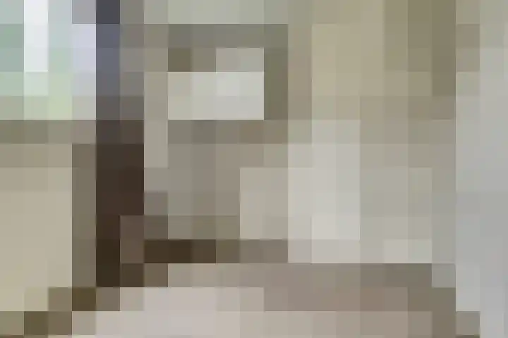 Oude Holleweg 14 Renswoude thumbnail 23