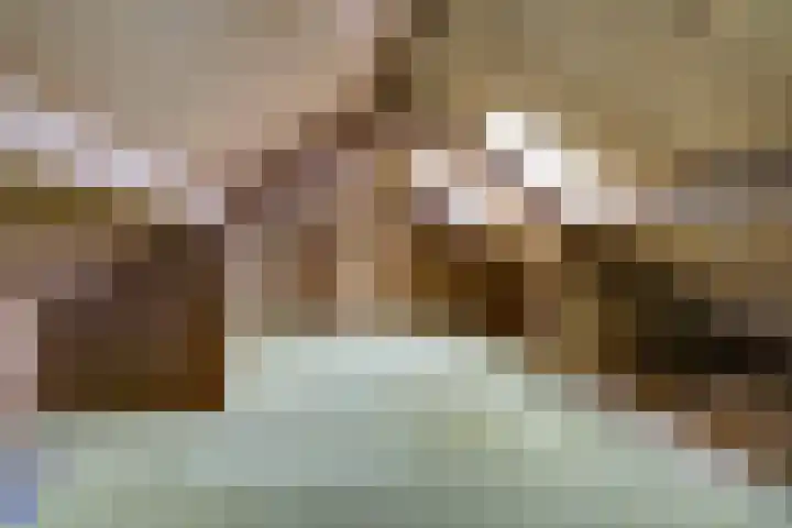 Oude Holleweg 14 Renswoude thumbnail 24