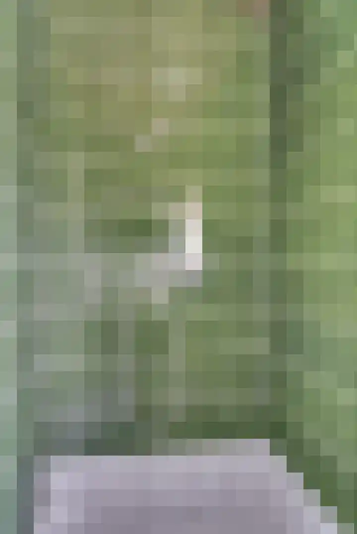 Oude Holleweg 14 Renswoude thumbnail 25