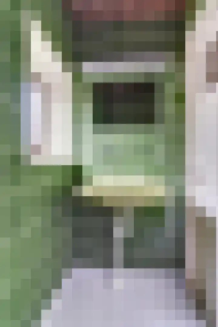 Oude Holleweg 14 Renswoude thumbnail 26