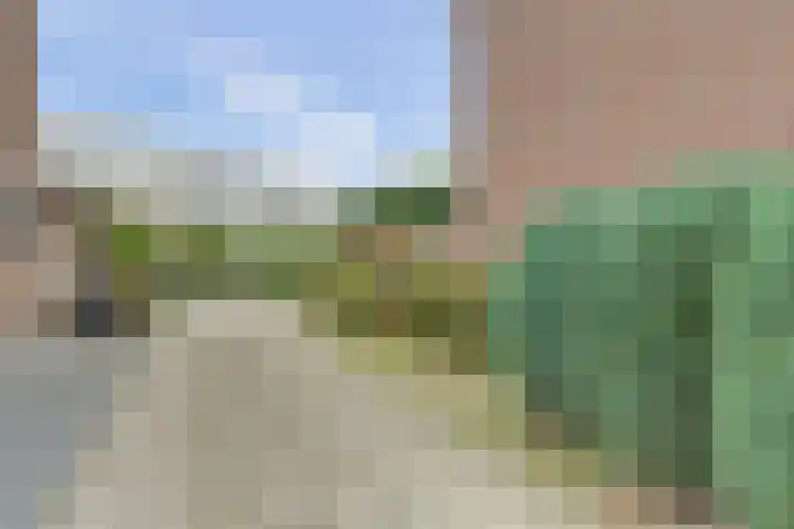 Oude Holleweg 14 Renswoude thumbnail 28