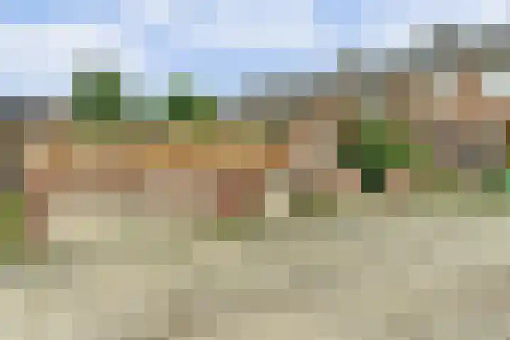 Oude Holleweg 14 Renswoude thumbnail 31