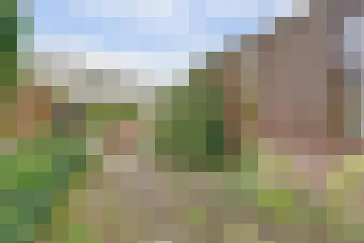 Oude Holleweg 14 Renswoude thumbnail 33