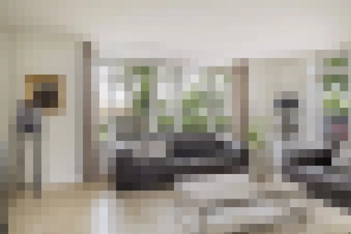 Oude Holleweg 21 Renswoude thumbnail 13