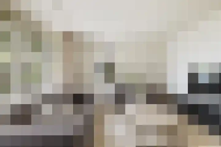 Oude Holleweg 21 Renswoude thumbnail 14