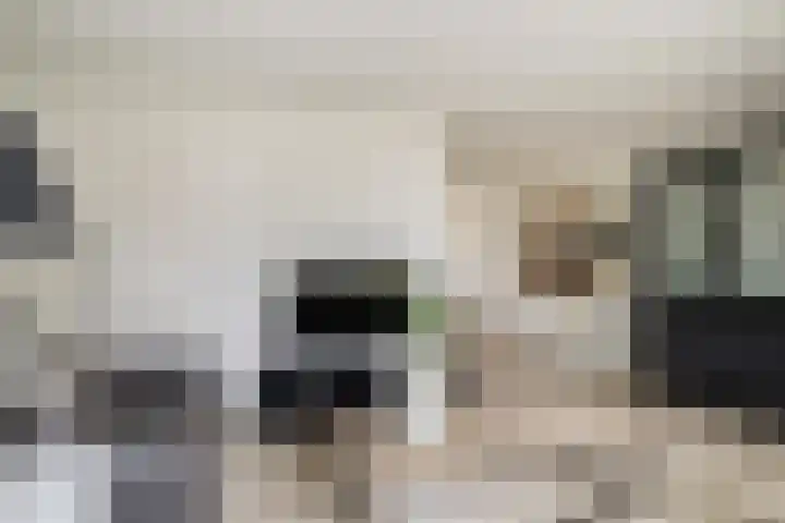 Oude Holleweg 21 Renswoude thumbnail 15