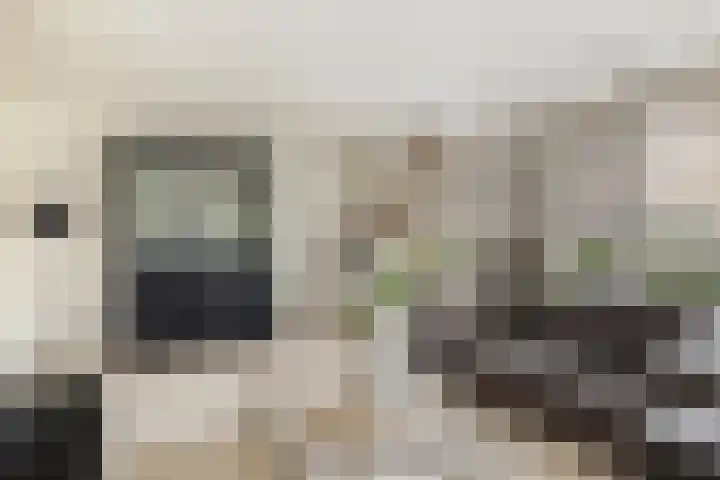 Oude Holleweg 21 Renswoude thumbnail 16