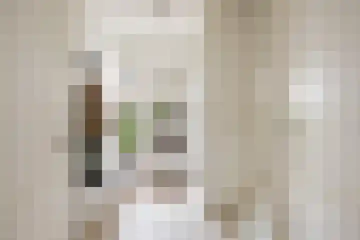 Oude Holleweg 21 Renswoude thumbnail 17