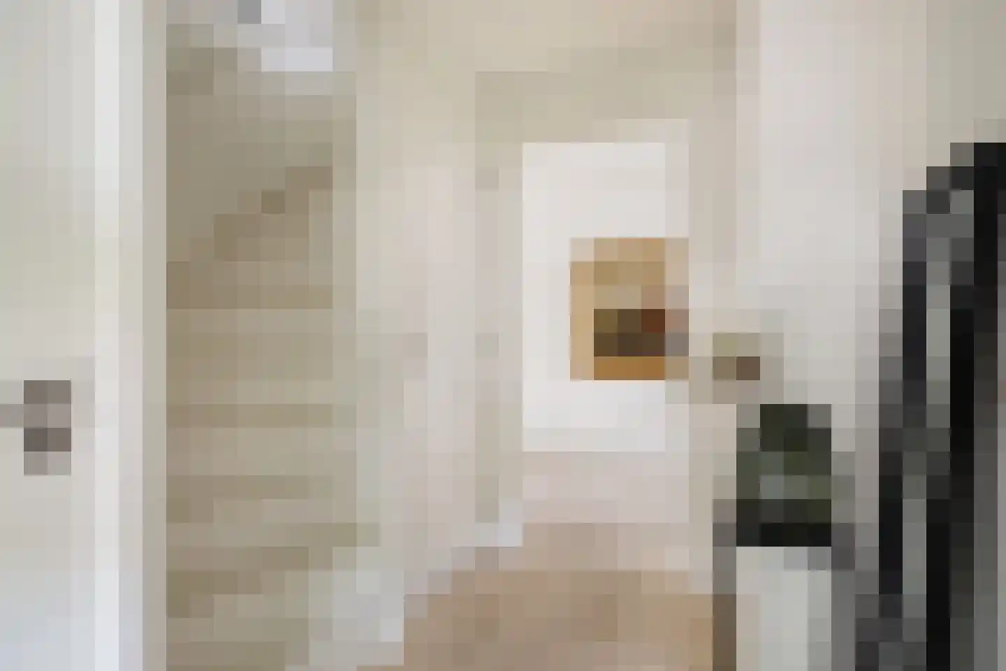 Oude Holleweg 21 Renswoude thumbnail 19